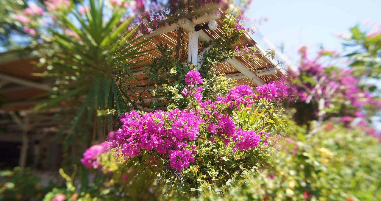 Dreams4You Λάμπη Εξωτερικό φωτογραφία